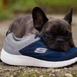 skechers77